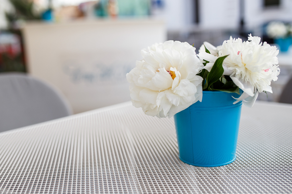 NE PLACE SĂ SCRIEM PE BLOG